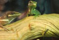 /album/fotogalerij/dsc0003tm-jpg/